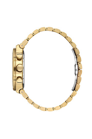 DANİEL KLEİN ERKEK KOL SAATİ DK.1.13996-6