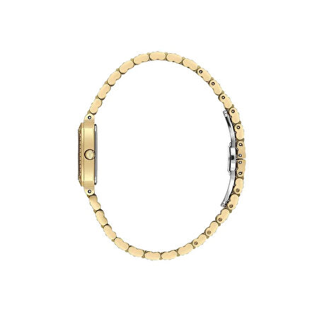 Freelook FL.1.10539-3 Kadın Kol Saati