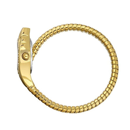 Daniel Klein DK.13.10085-3 Kadın Kol Saati