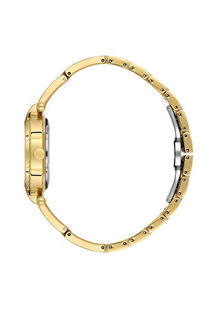 DANIEL KLEIN DK.3.10070-2 Kadın Kol Saati