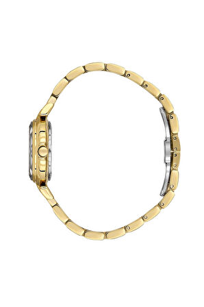 DANIEL KLEIN DK.3.10073-2 Kadın Kol Saati