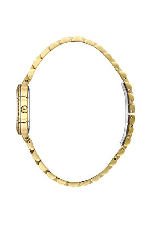 Bigotti Kadın Kol Saati ESBG.B.10652-3 Metal Kordon 28 mm Kasa Çapı