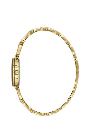 Bigotti Kadın Kol Saati ESBG.B.10654-4 Metal Kordon 26 mm Kasa Çapı