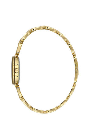 Bigotti Kadın Kol Saati ESBG.B.10654-6 Metal Kordon 26 mm Kasa Çapı