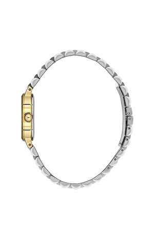 Bigotti Kadın Kol Saati ESBG.B.10660-5 Metal Kordon 24 mm Kasa Çapı