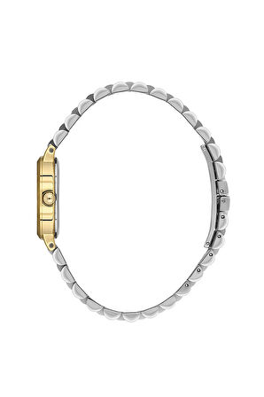 Bigotti Kadın Kol Saati ESBG.B.10660-6 Metal Kordon 24 mm Kasa Çapı