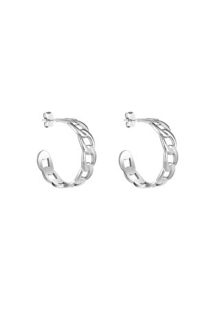 Daniel Klein Orijinal Kadın Çelik Küpe DKJ.3.30011-1