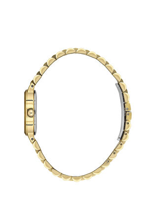 Bigotti Kadın Kol Saati ESBG.B.10660-7 Metal Kordon 24 mm Kasa Çapı
