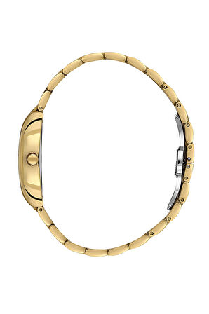 Santa Barbara Polo & Racquet Club Kadın Kol Saati ESSB.B.10671-4, Metal Kordon, 25 mm Kasa Çapı