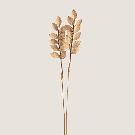 Voro Dal Kuru Çiçek Natural