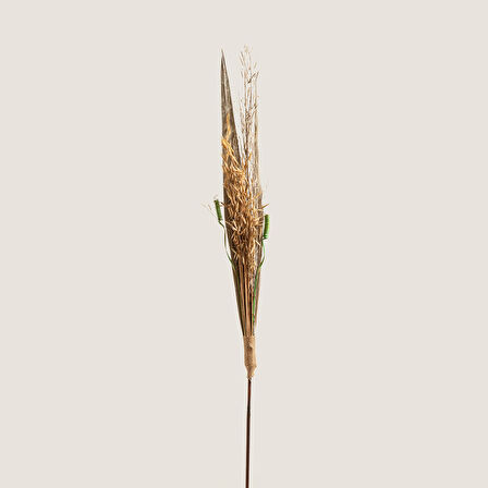 Pefro Dal Kuru Çiçek Natural