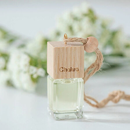 Araba Kokusu Aqua 5 ml Standart