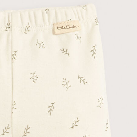 Winterland Tayt Ekru