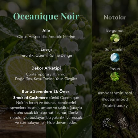 Çubuklu Oda Kokusu Oceanique Noir 500 ML