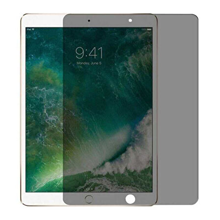iPad 10.2 2021 (9.Nesil) Uyumlu ​EFFX Tablet Privacy Temperli Cam Ekran Koruyucu-Siyah