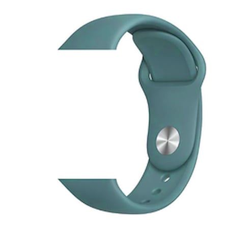 Lexroo Apple Watch 38mm Klasik Kordon - 43-Pine Green