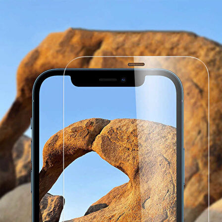 iPhone 12 Pro Uyumlu Zore Vox Glass Temperli Ekran Koruyucu