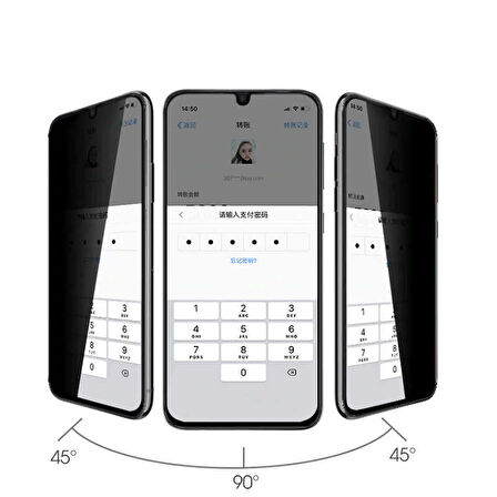 Oppo A73  Uyumlu Zore New 5D Privacy Temperli Ekran Koruyucu