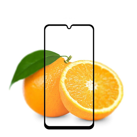 Samsung Galaxy A22 4G Ekran Koruyucu Nano Tam Kapatan Kırılmayan Seramik