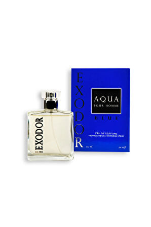 Blue Aqua Pour Homme Edp 100 ml