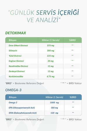 Wellvalens Omega 3 DetoxiMax 30 Softjel 30 Kapsül Paketi