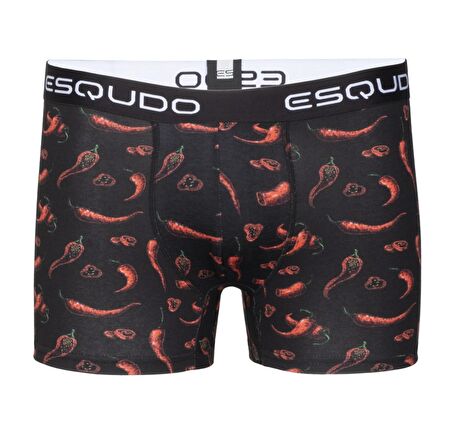 ESQUDO Çok Renkli Erkek Boxer ESBXD0002