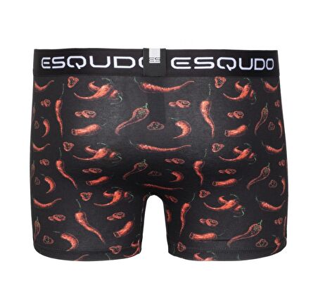 ESQUDO Çok Renkli Erkek Boxer ESBXD0002