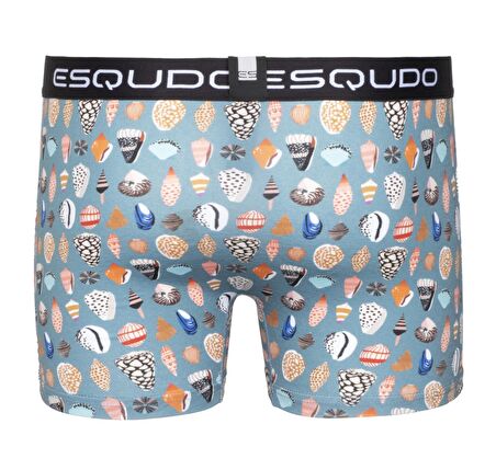 ESQUDO Çok Renkli Erkek Boxer ESBXD0014