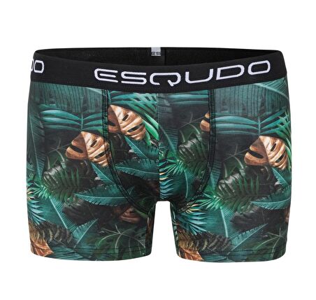 ESQUDO Çok Renkli Erkek Boxer ESBXD0026