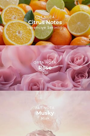 Oler AI Fragrance Roselle EDP Kadın Parfüm 50ml | Şeftali | Citrus | Yasemin | Gül | Paçuli
