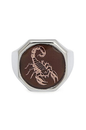 Gümüş Erkek Burç Yüzüğü Akrep Burcu Gümüş-bronz Renk Yanları Sade Model Şeffaf Mineli