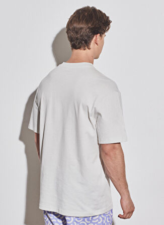 Wrangler Bisiklet Yaka Taş Erkek T-Shirt W231238811_Loose Fit Tshirt