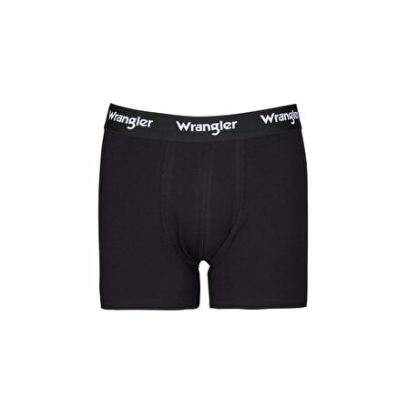 Regular Fit Normal Kesim Siyah Tekli Boxer