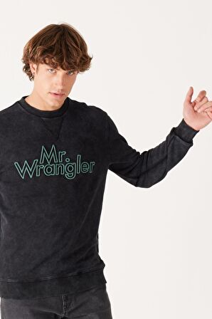 Regular Fit Normal Kesim %100 Pamuk Bisiklet Yaka Siyah Sweatshirt