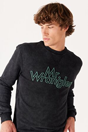 Regular Fit Normal Kesim %100 Pamuk Bisiklet Yaka Siyah Sweatshirt
