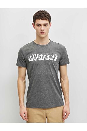 1yam11764lk Erkek T-shirt