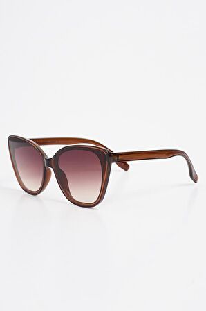 Aqua di Polo 1987 Kahverengi Cat Eye Kadın Güneş Gözlüğü APSN004601