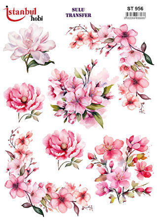İstanbul Hobi Sulu Transfer ST956 (25x35)
