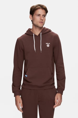 NEVADA Kahve Kapüşonlu Baskılı Standard Fit Erkek Sweatshirt
