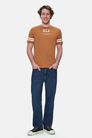 STARK Kahve Kolu Şeritli Bisiklet Yaka Baskılı Standard Fit Erkek Tshirt