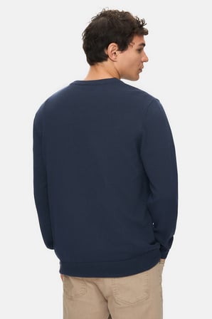 SENTO Lacivert Bisiklet Yaka Nakışlı Standard Fit Erkek Triko