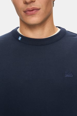 SENTO Lacivert Bisiklet Yaka Nakışlı Standard Fit Erkek Triko