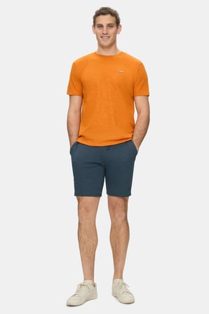 TAYLOR Kiremit Bisiklet Yaka Krinkıl Hafif Kumaş Metal Logolu Standard Fit Erkek Tshirt