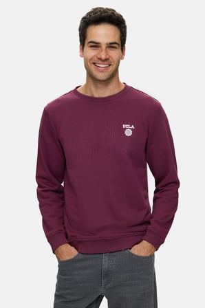 VALLEY Bordo Bisiklet Yaka Pamuklu Baskılı Standard Fit Erkek Sweatshirt