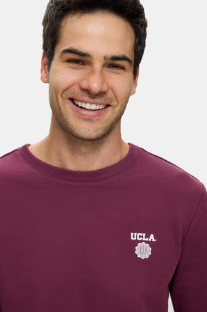 VALLEY Bordo Bisiklet Yaka Pamuklu Baskılı Standard Fit Erkek Sweatshirt