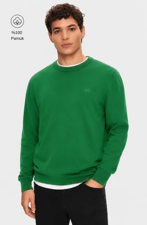 SENTO Yeşil Bisiklet Yaka %100 Pamuk Nakışlı Standard Fit Erkek Triko