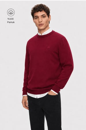 SENTO Bordo Bisiklet Yaka %100 Pamuk Nakışlı Standard Fit Erkek Triko