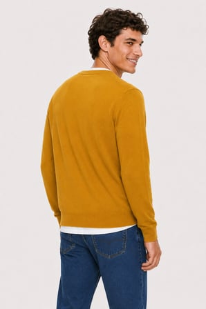 SENTO Hardal Sarısı Bisiklet Yaka %100 Pamuk Nakışlı Standard Fit Erkek Triko