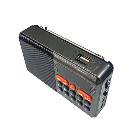 Rose SP-604 Şarjlı Bluetooth Wirelles FM Radyo Hoparlör