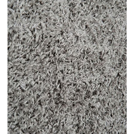 Bahariye Püsküllü Shaggy Halı 160X230 cm